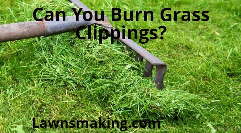 Can you burn grass clippings