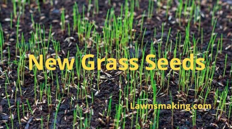 Can you cover new grass seed with grass clippings