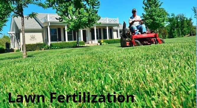 What temperature is too cold to fertilize lawn areas
