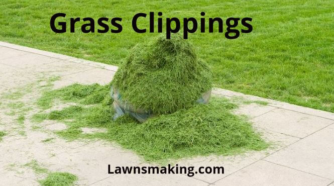 Can you cover new grass seed with grass clippings