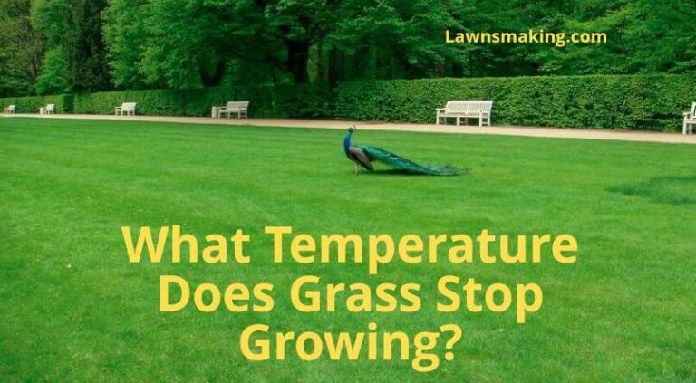 What temperature does grass stop growing?