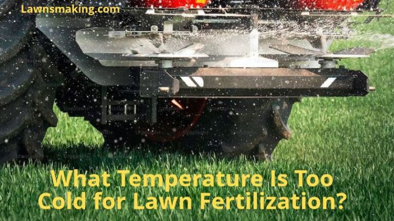 What temperature is too cold to fertilize lawn areas?