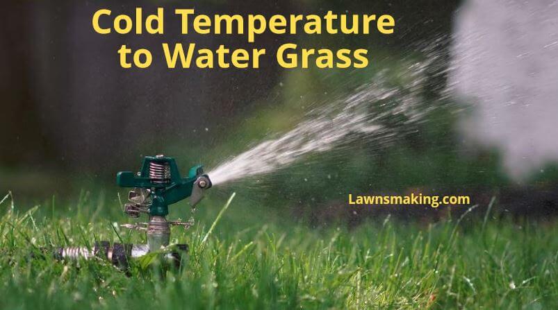 What temperature is too cold to water grass