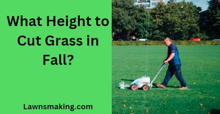 What height should grass be cut in fall