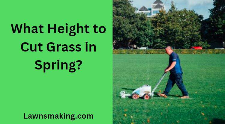 What height should grass be cut in spring