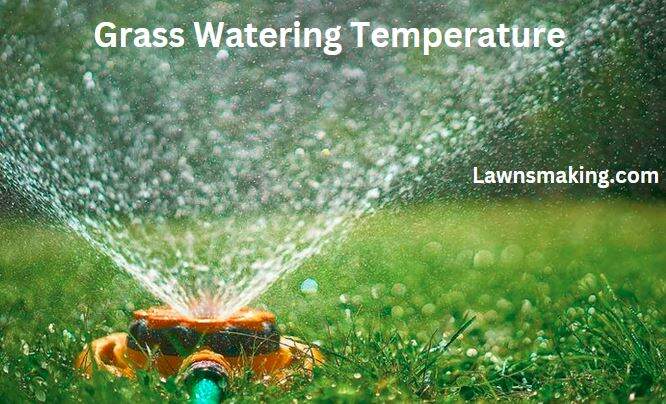 What temperature is too hot to water grass