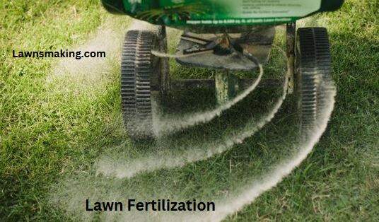 Fertilizing a lawn