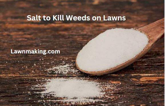 How long does it take for salt to kill weeds on lawns