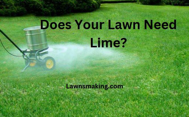 How to tell if your lawn needs lime