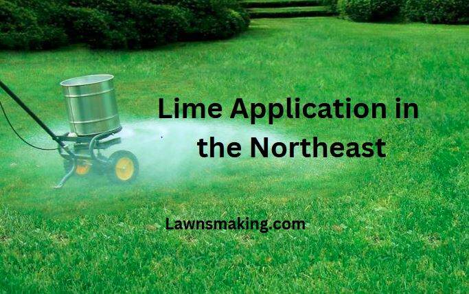 When to apply lime to lawn in the Northeast